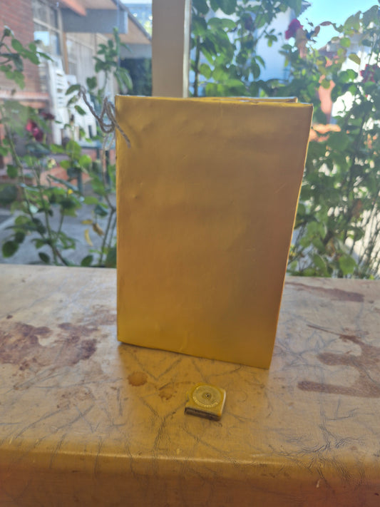 The Golden Big Book - 11 × 7.5" - 200 pages of lined + blank paper